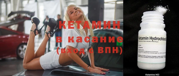 трава Гвардейск