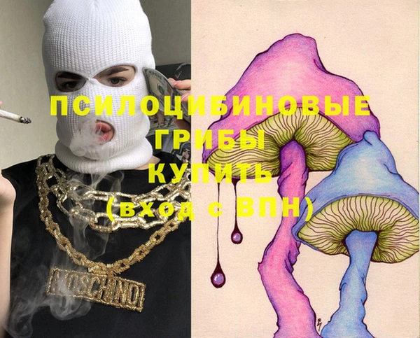соль курить ск Няндома