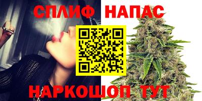PSILOCYBIN Донской