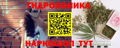 PSILOCYBIN Донской