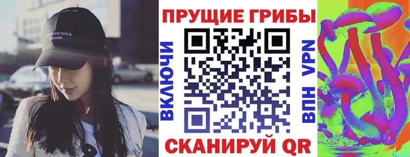 Галлюциногенные грибы Psilocybine cubensis где найти наркотики Кызыл