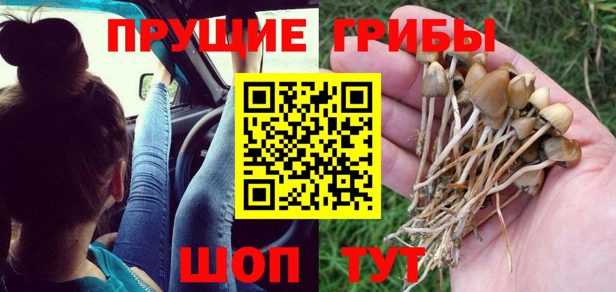 Псилоцибиновые грибы Magic Shrooms Кызыл