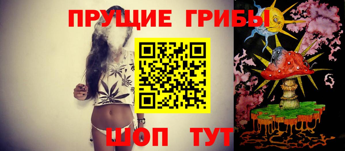 Галлюциногенные грибы GOLDEN TEACHER Кызыл
